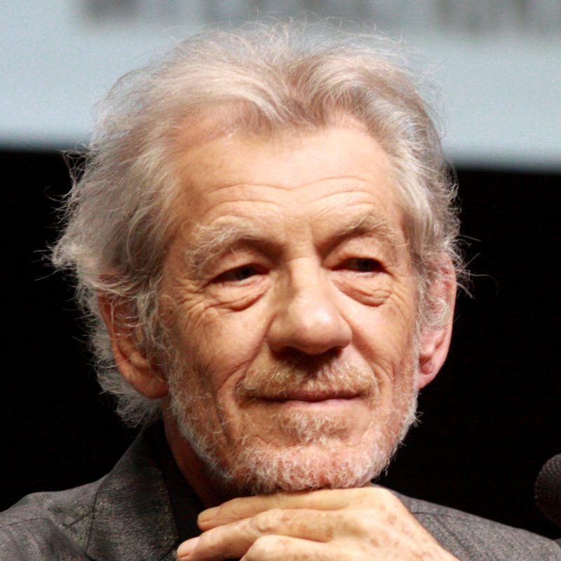 Ian McKellen as Erik Lehnsherr
