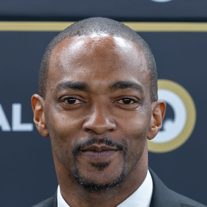 Anthony Mackie as Sam Wilson / Captain America